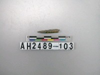 藏品(磨製石針)的圖片